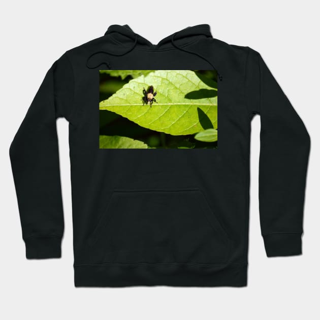 Robber Fly Hoodie by Drgnfly4free